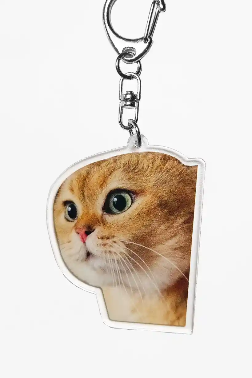 Sad and Angry Cat Meme • Keychain Acrylic - Image 3